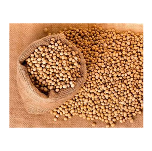 Soja Seca de Calidad Original, Granos de Soja, Soja Orgánica al Mejor Precio con Envío Rápido - Product Image 1