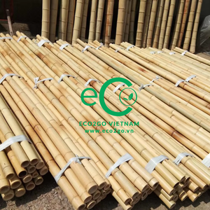 Large Natural Bamboo Stake for Agriculture and <b>Garden</b> Plant Support Straight Bamboo Pole by Eco2go Vietnam - Product Image 5