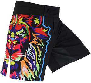 Shorts de boxe personnalisables pour hommes, logo imprimé numériquement sur le devant, 380g, respirant, 100% polyester, service OEM, vêtements de sport - Product Image 3
