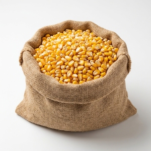 Alimento para Animales de Maíz Amarillo de Alta Calidad, Rico en Energía y Nutrientes, para Aves de Corral, Ganadería y Alimentación Comercial - Product Image 1