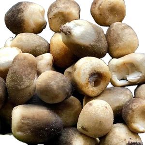 เห็ดฟางตัดใน12% ความชื้นครึ่งกระป๋อง - Product Image 1