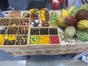 Mango Deshidratado Bañado en Chocolate Matcha, Snack de Mango Suave, Fruta Natural Recubierta de Chocolate Negro, Mango Deshidratado en Bolsa Zip del Fabricante - Product Image 3