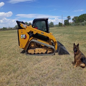 รถตักล้อยางมือสอง Caterpillar 246C ขนาด 3.5 ตัน เหมาะสำหรับงานเหมืองและงานก่อสร้าง พร้อมใบรับรอง CE EPA - Product Image 6