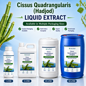 Cissus Quadrangularis Liquid Extract Hadjod <b>Herbal</b> <b>Supplement</b> Plant Based Food Grade Bulk Supply - Product Image 1