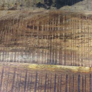 Mueble bar negro Vandana Maxima Orion con encimera de madera de mango - Product Image 4