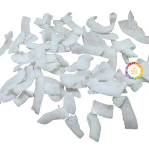 Coco Deshidratado Premium con Alto Contenido de Grasa (63%), Proveedor Vietnamita, Coco en Polvo a Granel para Panadería y Confitería, Calidad de Exportación OEM - Product Image 1