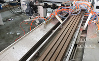 Ligne de production d'extrusion de plancher de terrasse Composited WPC/revêtement mural WPC faisant la machine