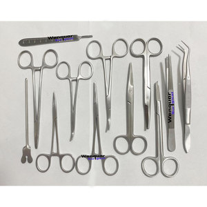 Ensemble professionnel de 13 instruments de chirurgie mineure en acier inoxydable, kit d'outils chirurgicaux pour la formation médicale et vétérinaire - Product Image 1