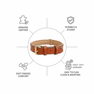 Correa de cuero genuino para perros, manos libres, táctica, para correr, entrenar, pasear perros grandes, hebilla metálica resistente. - Product Image 6