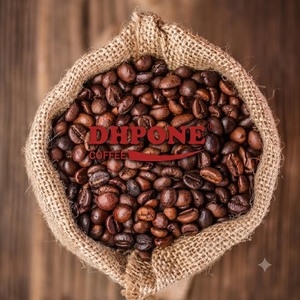 Granos de Café Robusta de Dak Lak, Vietnam, Tueste Claro, Sabor Suave, Calidad de Exportación, OEM, ODM, Marca Privada, a Granel - Product Image 3