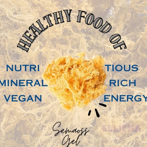Premium Vietnam Gold Sea <b>Moss</b> Raw Sun <b>Dried</b> Eucheuma Cottonii Irish <b>Moss</b> <b>Dried</b> Kelp Kombu Maca Root Tongkat Ali Tribulus - Product Image 5