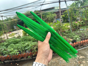 ตาข่ายป้องกัน PE คุณภาพสูง ความกว้าง: 1 มม. - 2 มม. - 2.5 มม. และสามารถปรับแต่งความยาวได้ ตาข่ายห่อดอกไม้ - Product Image 3