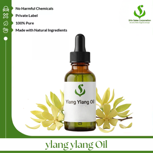 Exportateur d'huile d'ylang-ylang de qualité supérieure, fournissant des huiles essentielles de haute qualité pour les soins de beauté, les parfums, les fragrances, les soins de la peau et les produits personnels. - Product Image 1