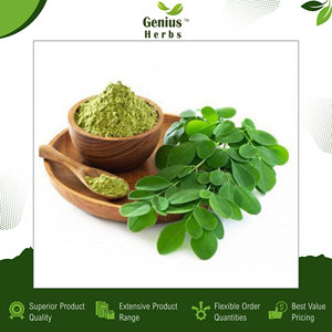 Líderes en la suministro de polvo de hoja de moringa 100% puro, certificado, de grado alimenticio y cultivado orgánicamente, de un proveedor indio de confianza, en oferta. - Product Image 3