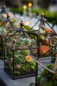 Juego de terrarios modernos de metal y vidrio personalizados en color negro para plantas de interior, suculentas, plantas aéreas y terrarios DIY. - Product Image 6
