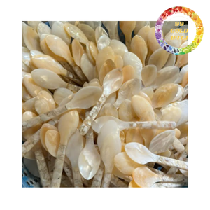 Cuillère en coquille polie faite à la main, idée cadeau unique pour les mariages et la décoration des restaurants - Product Image 4