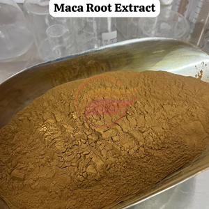 Suministro Directo de Fábrica, Precio al por Mayor, Extracto de Raíz de Maca Negra Orgánica 100% Natural Premium en Polvo - Product Image 3