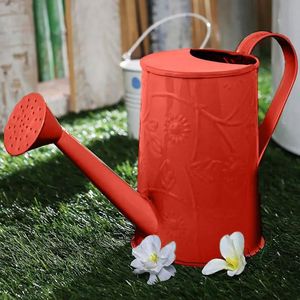 Arrosoir décoratif de luxe en métal avec motif imprimé émaillé, qui rehausse l'esthétique tout en offrant une expérience d'arrosage efficace. - Product Image 1