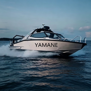 YAMANE <span class=keywords><strong>Bateau</strong></span> <span class=keywords><strong>de</strong></span> pêche sportif professionnel en aluminium <span class=keywords><strong>de</strong></span> 9 m (30 pieds) pour 9 personnes, best-seller - Product Image 6
