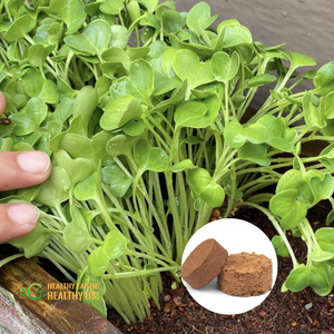 Discos de Fibra de Coco Biodegradables Personalizados |   Tapetes de Germinación de Semillas para Microgreens y Plántulas de Vegetales, para Plantación en Jardín - Product Image 6
