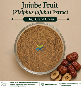 Extrait de Jujube (Ziziphus jujuba) de qualité alimentaire, fourni directement par l'usine HGO (Ratio d'extrait : 4:1, 5:1, 10:1, 20:1, 100:1, 200:1) - Product Image 1