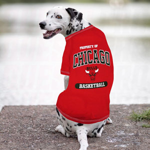 Pet Supplies Custom Dog Sweater Pet Clothing Dogs Jersey Warriors Dog <b>Cat</b> Hoodie <b>T</b> Shirt Medium Size Soft Breathable Pet Outfit - Product Image 5