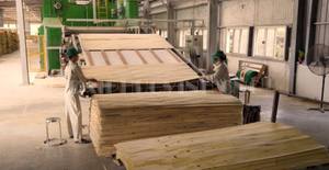 Vente en gros de panneaux de fibres MDF E0 de première classe du Vietnam de 3 à 25mm pour meubles et intérieur - Product Image 3