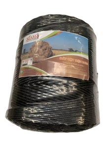 โรงงานเวียดนามมีขนาดใหญ่แพ็ค1มม. 2มม. PP เครื่องมัดใหญ่มะเขือเทศราคาถูก - Product Image 3