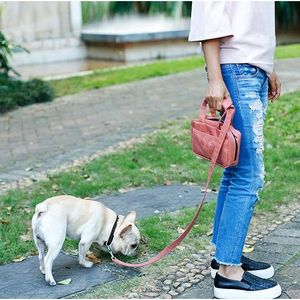 Borsa Elegante per lo Smaltimento dei Rifiuti degli Animali Domestici con Porta Guinzaglio e Dispenser per Sacchetti Igienici - Product Image 5