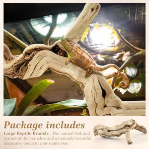 Figurine de lézard en bois de teck sculptée à la main - Design traditionnel écologique 20x10x5 cm Décoration d'intérieur - Vente en gros B2B - Product Image 4