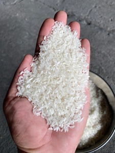 ข้าวขาวคุณภาพเยี่ยม คามอลิโน ออร์แกนิค แบบเวียดนาม ข้าวคาลโรส เมล็ดกลาง คุณภาพสูง ตราเทียนเจียง ฤดูกาลใหม่ ขายส่ง ราคาดีที่สุด - Product Image 3
