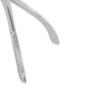 Premium Quality Berten Type Extraction Forceps PLUS 18 German Stainless Steel Dental Tooth Extracting Instrument Surgical Grade - Product Image 5