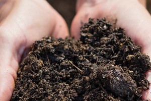 Engrais organique en poudre, nourriture naturelle pour plantes, stimule la fertilité du sol, engrais bio à base de compost pour l'agriculture et le jardinage, export - Product Image 5