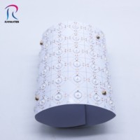 Feuille LED souple Raymates à matrice de lentilles 72 LED blanches DC24V découpable pour éclairage de pierre