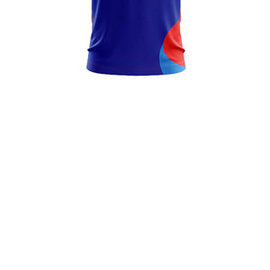 Fournisseur d'uniformes de cricket à transfert thermique, ensemble maillot de cricket personnalisé avec nom et numéro, respirant et anti-humidité, short inclus - Product Image 6