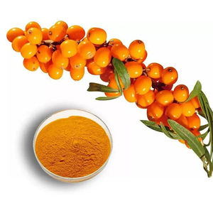 Polvo de Espino Amarillo Seco de Alta Calidad, 100% Puro - Product Image 2