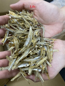 PESCADO ANCHOVÍA SECA DE VIETNAM/PESCADO ANCHOVÍA SECA NATURAL DE ALTA CALIDAD - Product Image 5