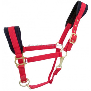 High Quality Nylon Horse <b>Halter</b> with Soft Gel form Padding and Adjustable Brass Plated Hardware <b>Halter</b> Horse in Multiple Colors - Product Image 2