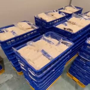 Disponible : Morceaux de manioc surgelés durables, racines de yucca fraîchement coupées, légumes surgelés en gros à longue durée de conservation - Product Image 3