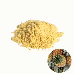 Poudre de peau d'ananas séchée naturelle de qualité supérieure, fabriquée au Vietnam, en promotion, approvisionnement en vrac - Product Image 1
