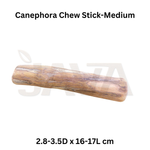 Bâton à mâcher pour chien en bois de canéphora, écologique, durable, avec design simple pour le nettoyage des dents, jouet à mâcher durable pour animaux de compagnie, taille M - Product Image 2