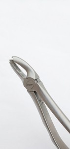 Pinzas de Extracción Dental Rectas Mate Clase I – Alicates de Extracción de Dientes de Acero Inoxidable Quirúrgico para Uso Profesional - Product Image 4