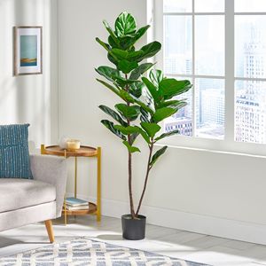 Albero Artificiale di Ficus Lyrata da 59 Pollici - Product Image 3