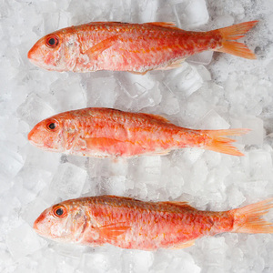 Venta al por Mayor de Mullet Rojo Congelado de Primera Calidad, Bajo en Carbohidratos, Libre de Grasas Trans, envasado al Vacío, Cajas a Granel, Listo para Exportación, Mariscos para Restaurantes - Product Image 3