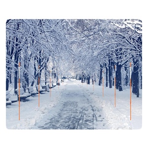 Marcadores Flexibles para Entradas de Vehículos, Estacas Reflectantes Huecas de FRP para Nieve - Product Image 3
