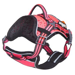 Pettorina e Guinzaglio Helios per Cani, Set di Alta Qualità per il Tuo Amico Peloso - Product Image 2