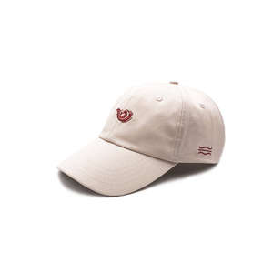 Casquette de baseball 6 panneaux tendance personnalisée pour équipe, avec logo brodé pour club, idéale pour les activités sportives en extérieur - Product Image 1
