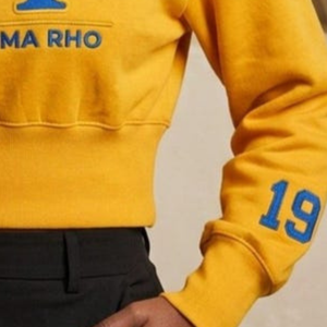 เสื้อครอปแขนกุดปักลายสำหรับผู้หญิง สไตล์ลำลอง เท่ห์ๆ แฟชั่นสตรีทแวร์  สามารถสั่งทำได้ - Product Image 6