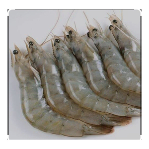 Crevettes Vannamei surgelées de qualité supérieure PND fournies aux clients exportateurs - Product Image 4