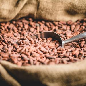 Granos de Cacao Frescos con Rico Aroma, Granos de Cacao a Granel Ideales para la Elaboración de Chocolate y el Procesamiento de Alimentos - Product Image 2